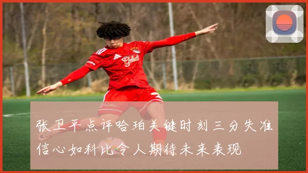张卫平点评哈珀关键时刻三分失准信心如科比令人期待未来表现