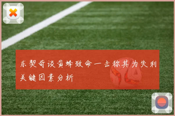 东契奇谈黄蜂致命一击称其为失利关键因素分析